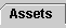 asset